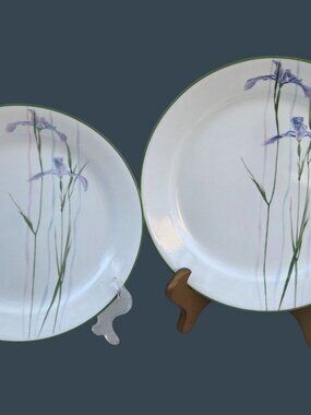 Corelle Shadow Iris 10" Dinner Plate & 9" Luncheon Plate Floral Design Green Rim
